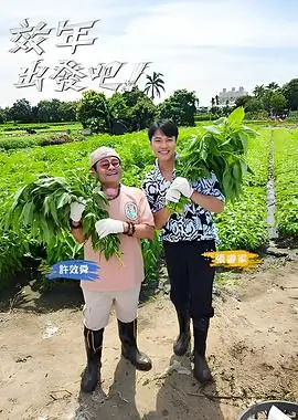 与星共舞（第一季）海报